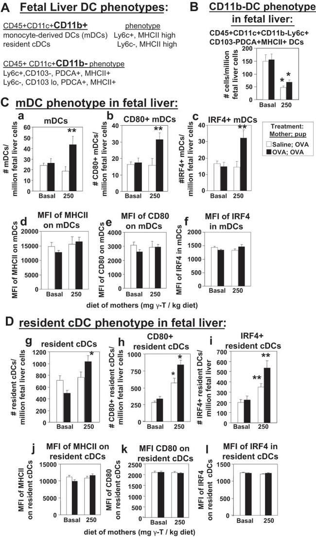 IRF4 Antibody in Flow Cytometry (Flow)