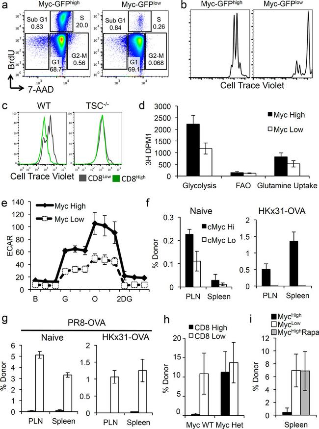 CD8a Antibody in Flow Cytometry (Flow)