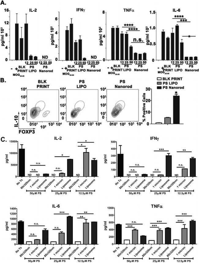 IL-10 Antibody in Flow Cytometry (Flow)