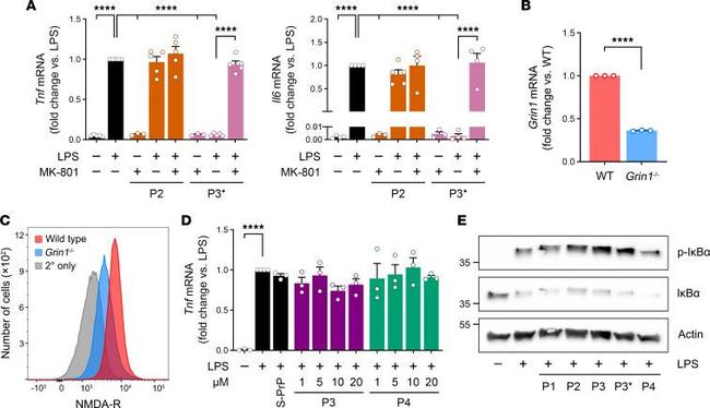 NMDAR1 Antibody in Flow Cytometry (Flow)