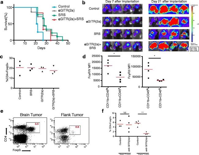 CD16/CD32 Antibody in Flow Cytometry (Flow)