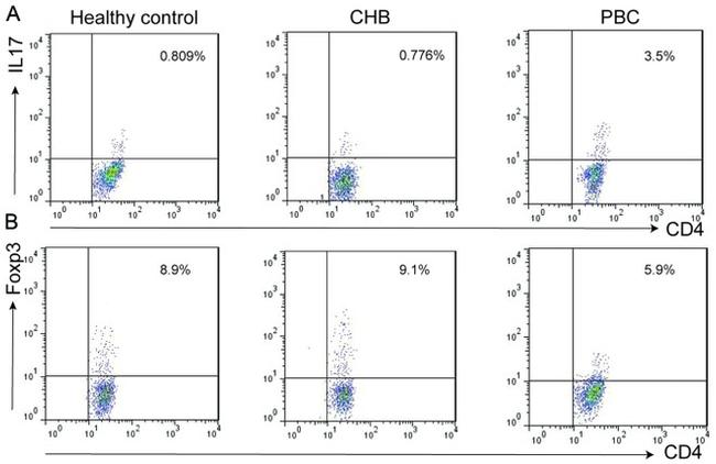 FOXP3 Antibody in Flow Cytometry (Flow)