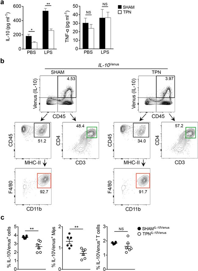 CD3 Antibody in Flow Cytometry (Flow)