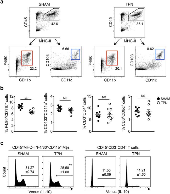 CD11c Antibody in Flow Cytometry (Flow)