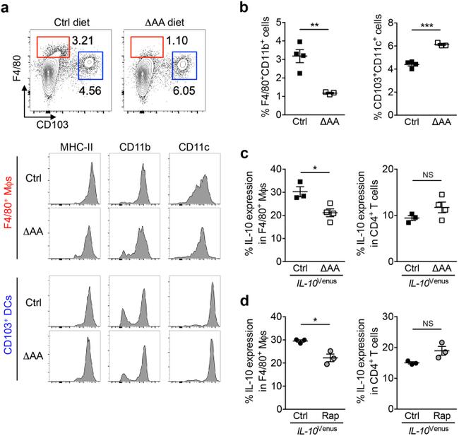 CD103 (Integrin alpha E) Antibody in Flow Cytometry (Flow)