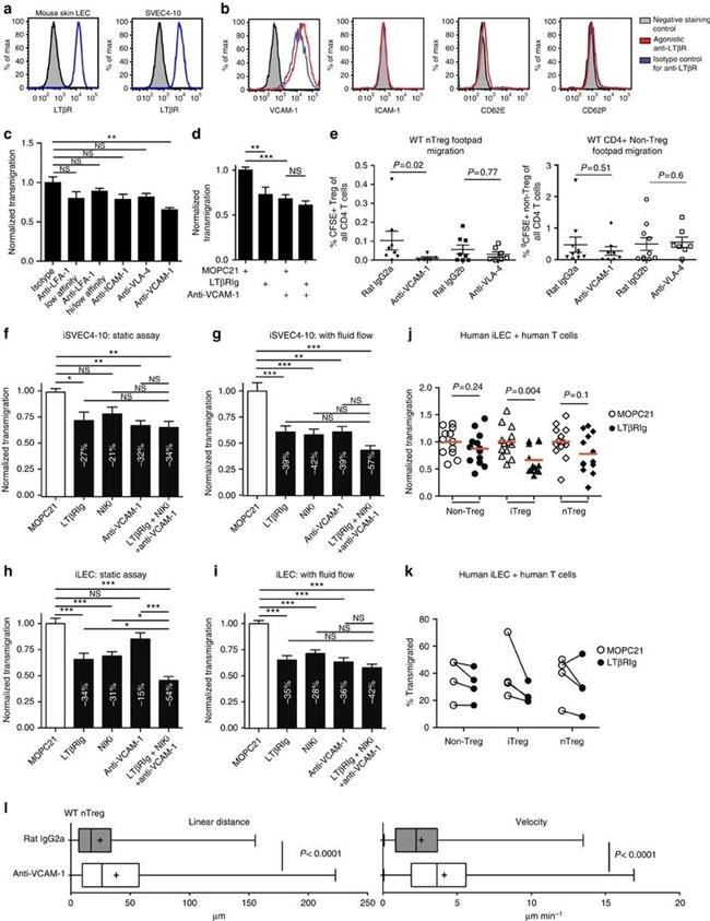 Lymphotoxin beta Receptor Antibody in Flow Cytometry (Flow)