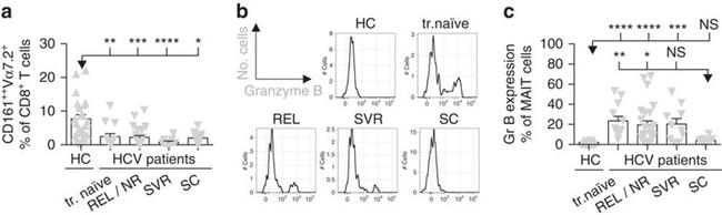 CD3 Antibody in Flow Cytometry (Flow)