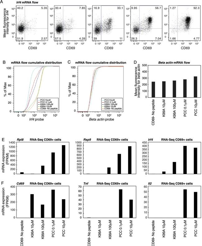 CD69 Antibody in Flow Cytometry (Flow)