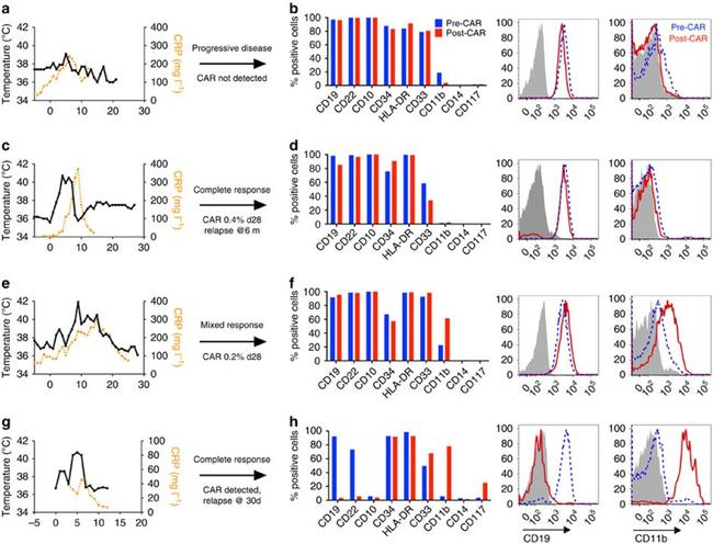 CD19 Antibody in Flow Cytometry (Flow)