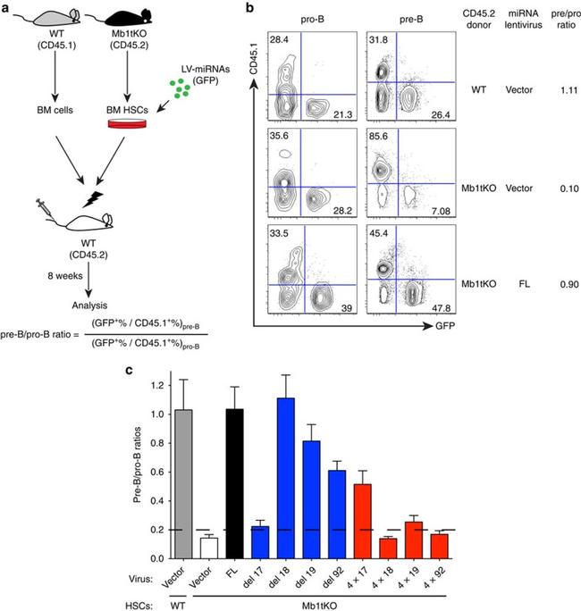 CD117 (c-Kit) Antibody in Flow Cytometry (Flow)