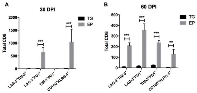 CD223 (LAG-3) Antibody in Flow Cytometry (Flow)