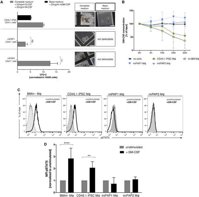 CD41a Antibody in Flow Cytometry (Flow)