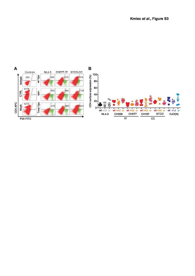 CD4 Antibody in Flow Cytometry (Flow)