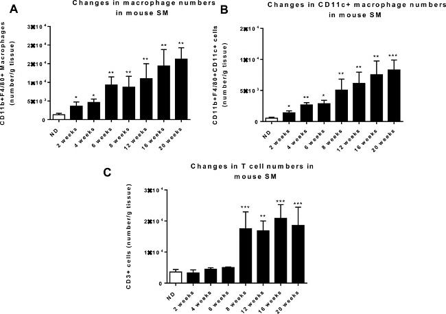 CD11c Antibody in Flow Cytometry (Flow)