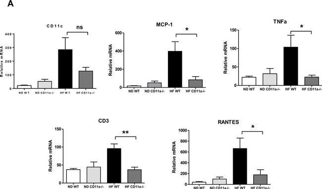 CD11c Antibody in Flow Cytometry (Flow)