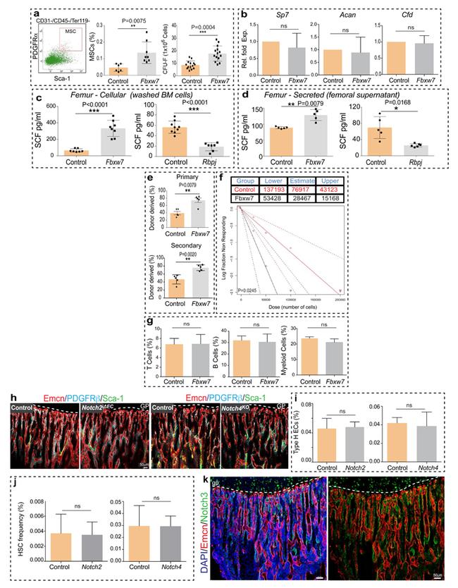 TER-119 Antibody in Flow Cytometry (Flow)