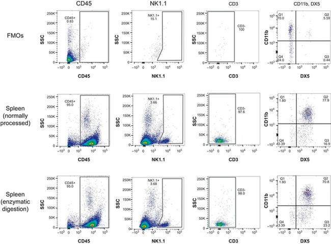 NK1.1 Antibody in Flow Cytometry (Flow)