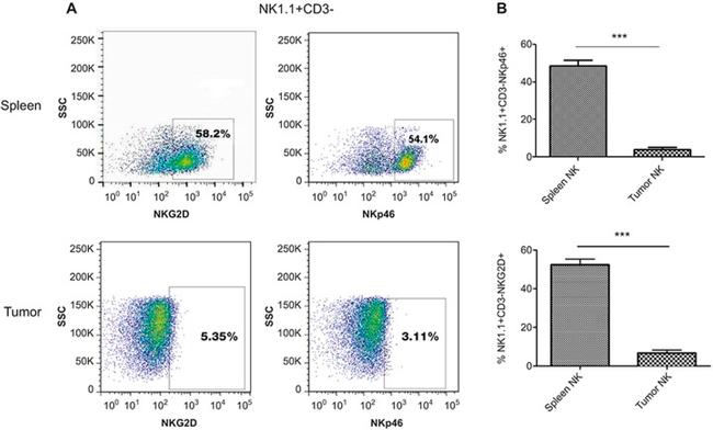 CD314 (NKG2D) Antibody in Flow Cytometry (Flow)