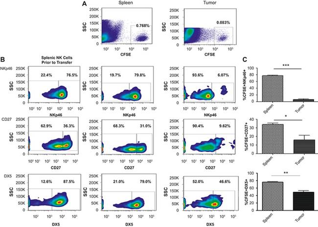 CD49b (Integrin alpha 2) Antibody in Flow Cytometry (Flow)