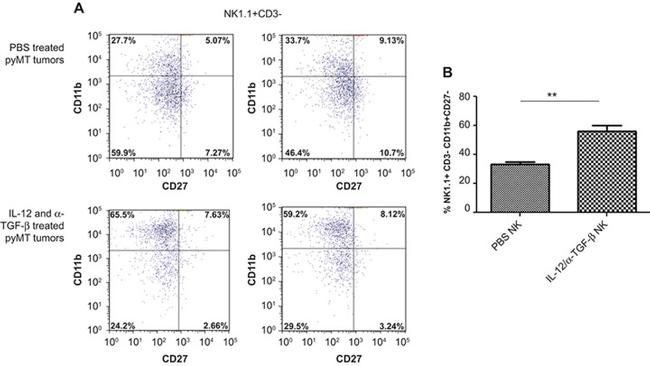 NK1.1 Antibody in Flow Cytometry (Flow)