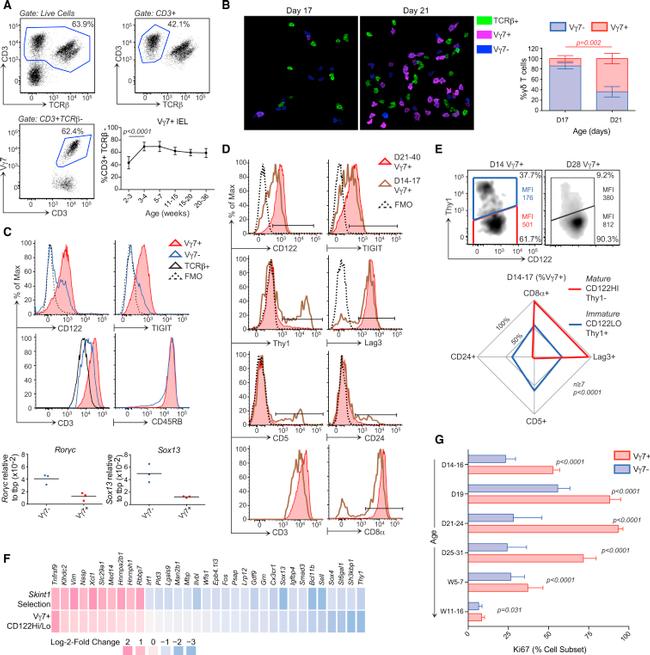 CD223 (LAG-3) Antibody in Flow Cytometry (Flow)