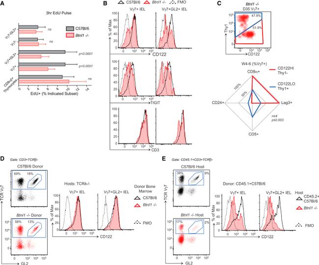 TIGIT Antibody in Flow Cytometry (Flow)