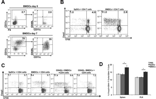 CD11c Antibody in Flow Cytometry (Flow)