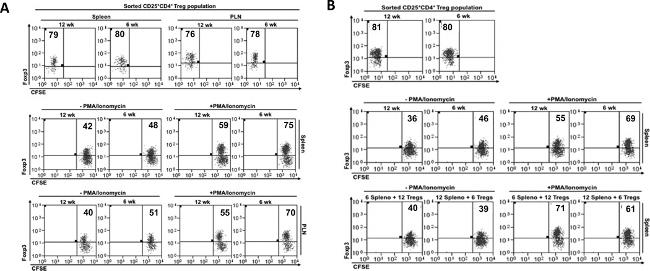 CD25 Antibody in Flow Cytometry (Flow)