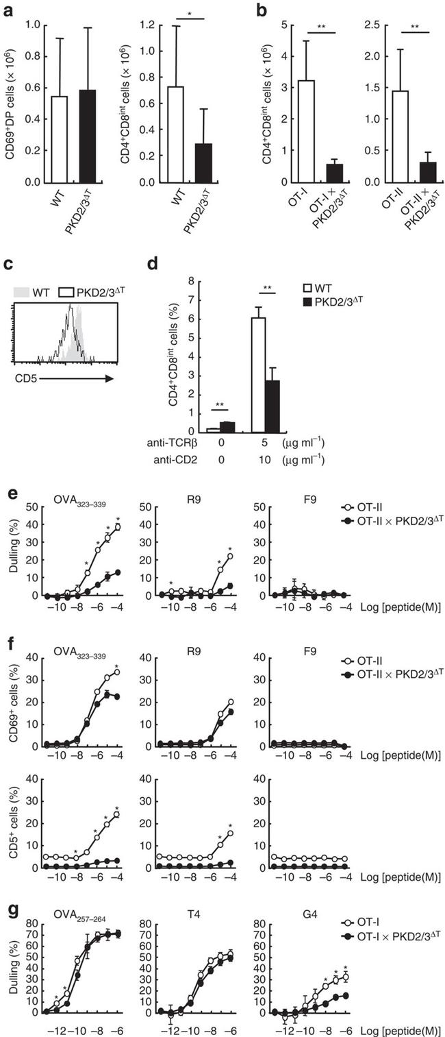 TCR beta Antibody in Flow Cytometry (Flow)