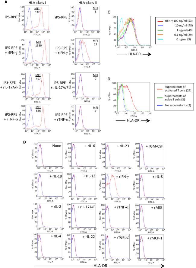 HLA-DR Antibody in Flow Cytometry (Flow)