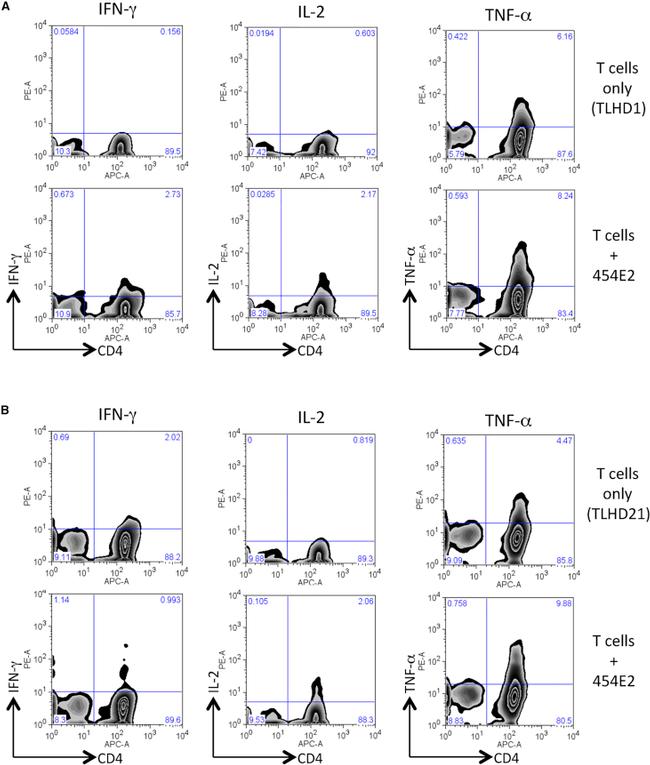 CD4 Antibody in Flow Cytometry (Flow)