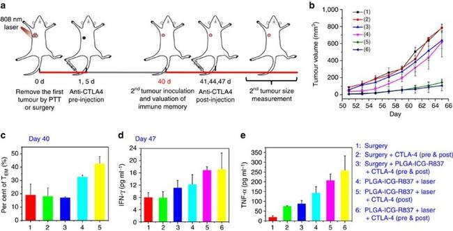 CD3e Antibody in Flow Cytometry (Flow)