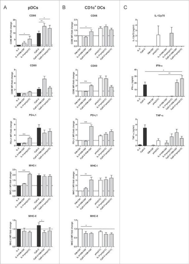 IL-12 p70 Antibody in ELISA (ELISA)