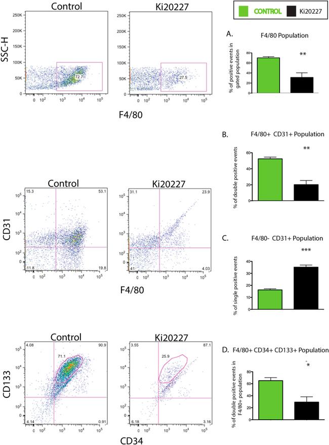 CD34 Antibody in Flow Cytometry (Flow)