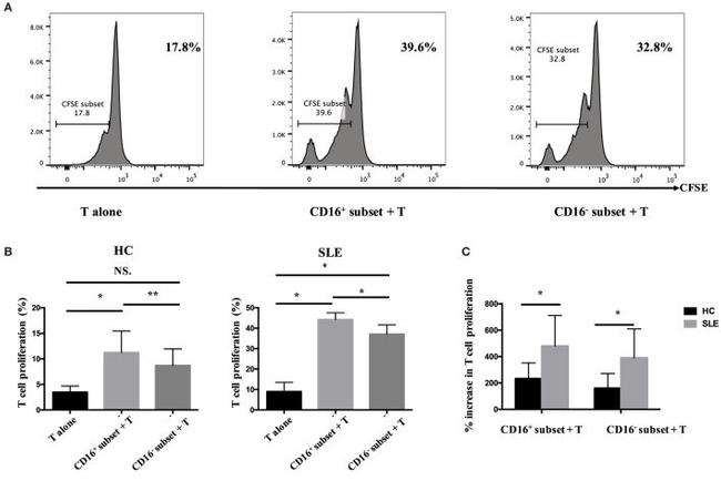 CD3 Antibody in T-Cell Activation (TCA)