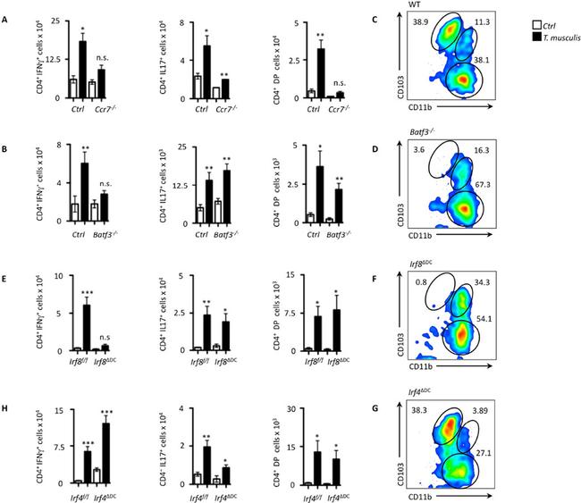 CD3e Antibody in Flow Cytometry (Flow)