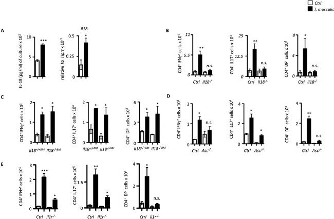 CD3e Antibody in Flow Cytometry (Flow)