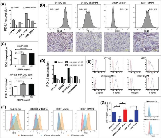 CD279 (PD-1) Antibody in Flow Cytometry (Flow)