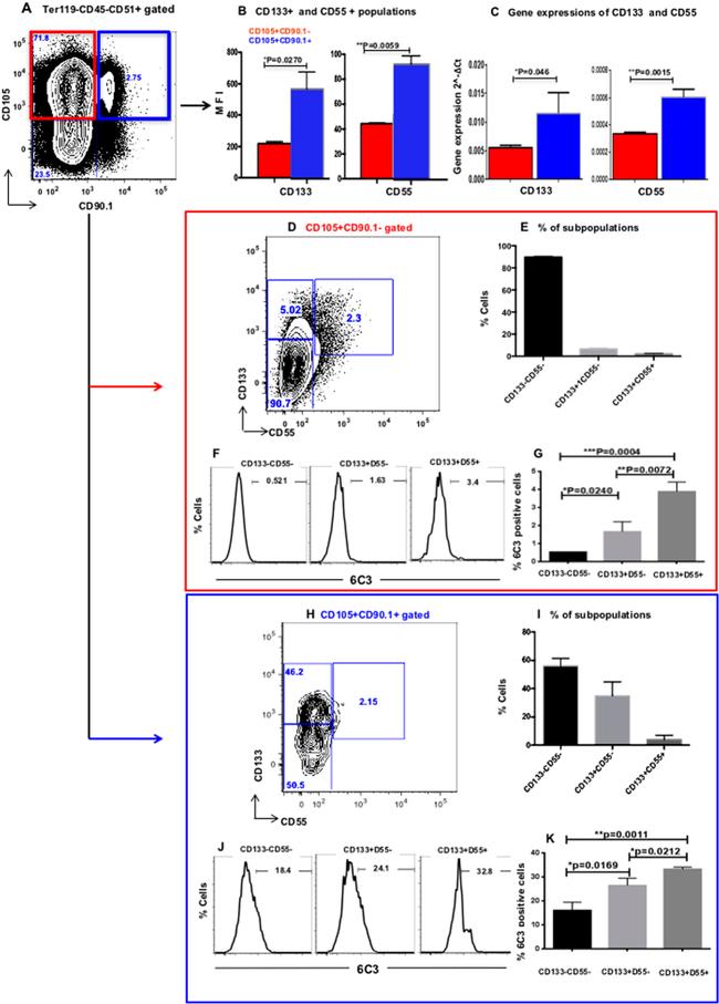 CD133 (Prominin-1) Antibody in Flow Cytometry (Flow)