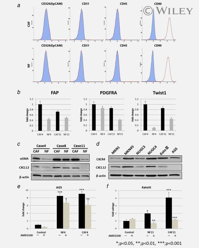 CD31 (PECAM-1) Antibody in Flow Cytometry (Flow)