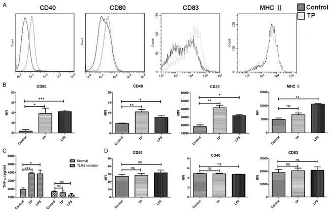 CD80 (B7-1) Antibody in Flow Cytometry (Flow)