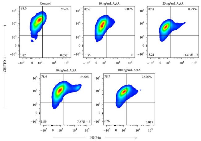 Cripto Antibody