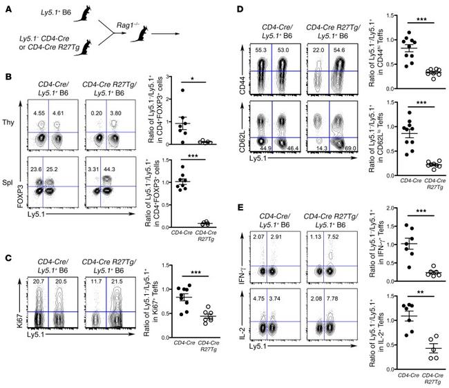 IL-2 Antibody in Flow Cytometry (Flow)