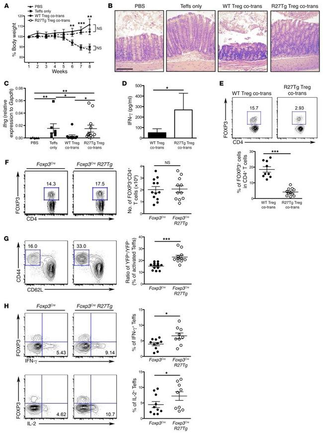 IL-2 Antibody in Flow Cytometry (Flow)