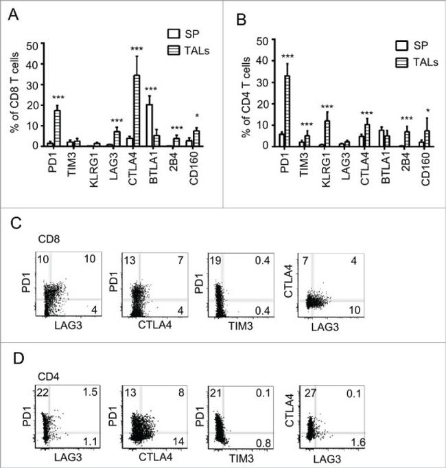 CD366 (TIM3) Antibody in Flow Cytometry (Flow)