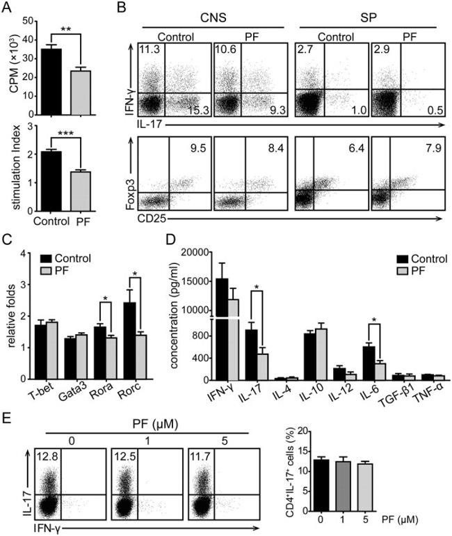 IL-17A Antibody in Flow Cytometry (Flow)