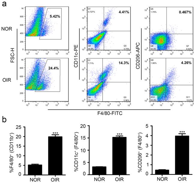 CD11c Antibody in Flow Cytometry (Flow)