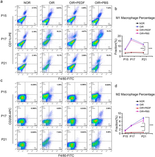 CD11c Antibody in Flow Cytometry (Flow)