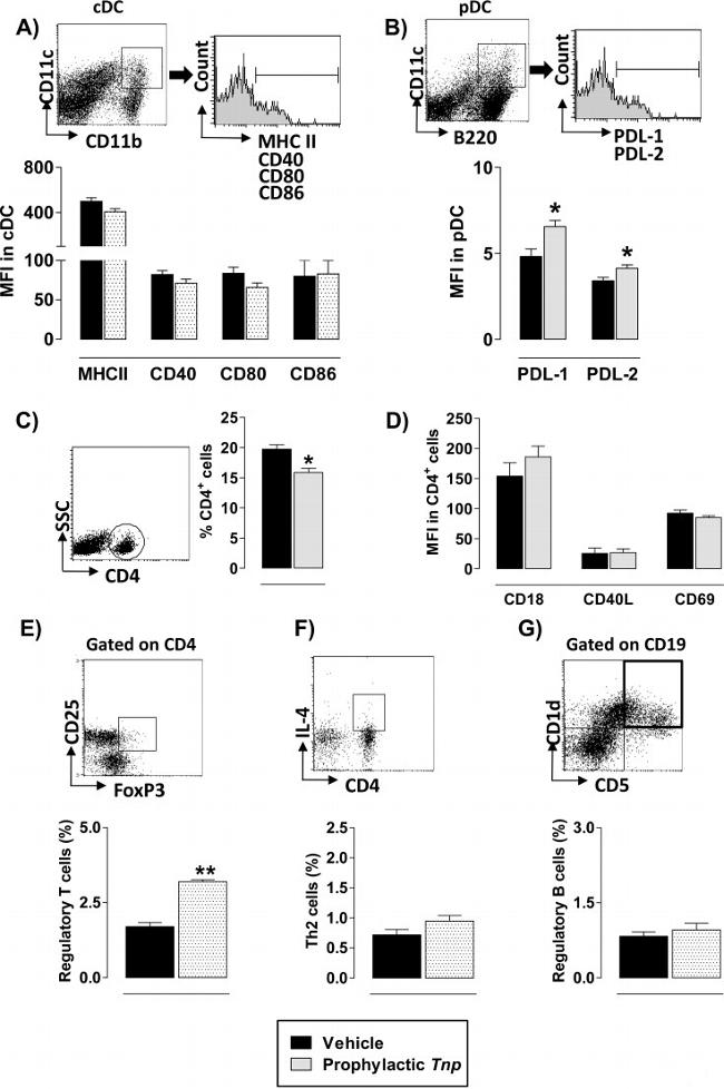 CD45R (B220) Antibody in Flow Cytometry (Flow)