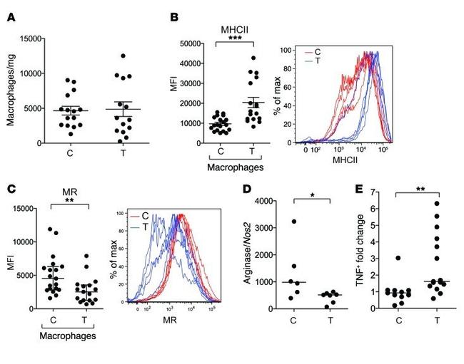 MHC Class II (I-A/I-E) Antibody in Flow Cytometry (Flow)